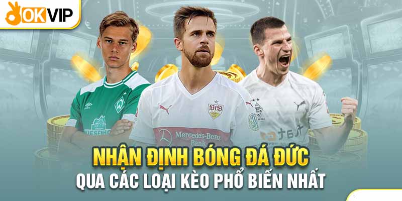 Nhận Định Bóng Đá Đức Cùng Okvip Để Đặt Kèo Hiệu Quả 2 Hai tỷ lệ kèo bóng đá Đức phổ biến hiện nay